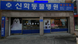 이미지